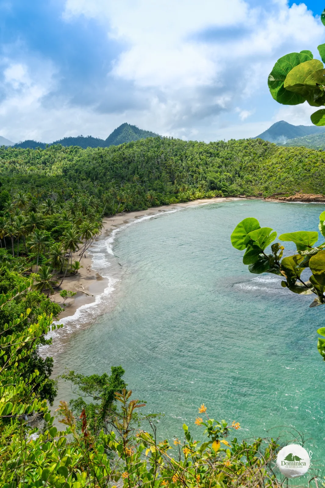 A curved bay seen from a forested headland
