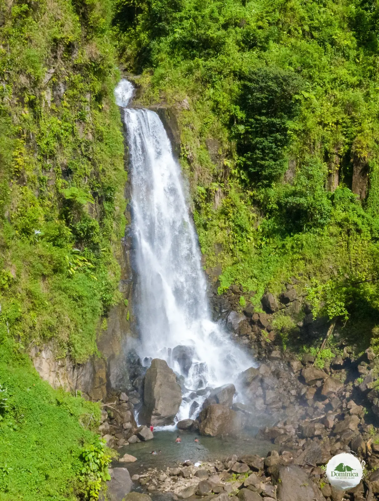 A waterfall in Dominica’s rainforest interior